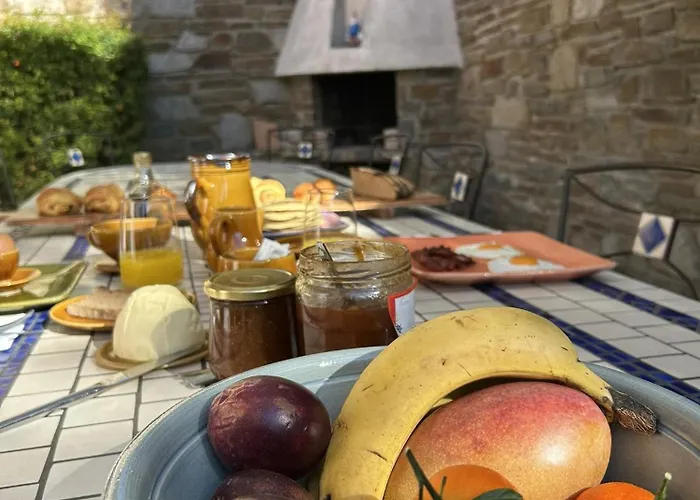 Guest house Terra Alba Le Lavandou